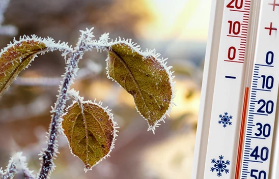 Hava soğuyor! Karla karışık yağmur ve zirai don uyarısı