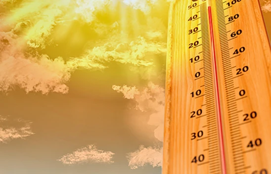 Havalar 6 derece birden ısınıyor! Orman yangınlarına dikkat