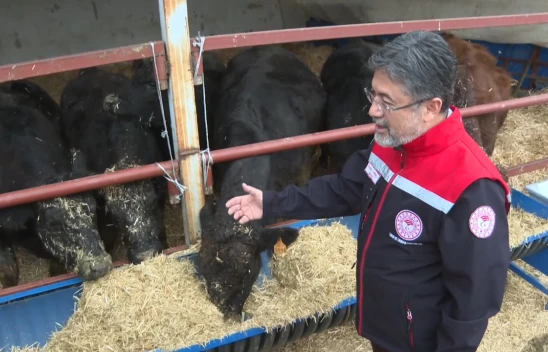 Hayvancılığa Destek Projesi meyvelerini vermeye başladı