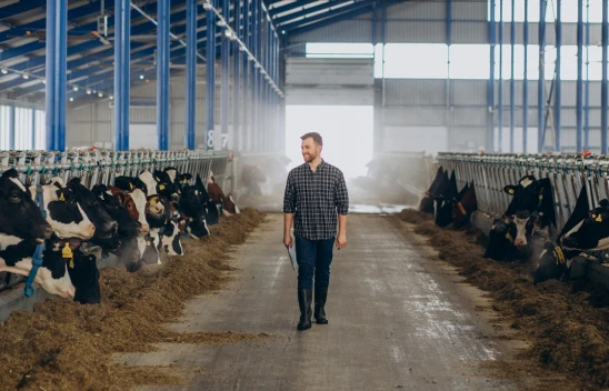 Hayvancılıkla ilgili destekleme miktarları arttırıldı