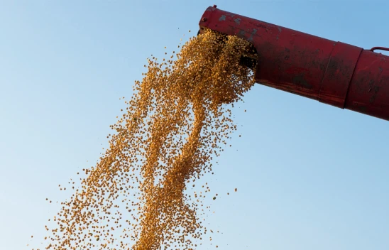 Hububat alımlarında 1 milyon ton eşiği aşıldı