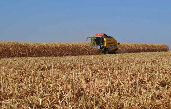 Hububat, bakliyat ve yağlı tohumlar ihracatı yüzde 3,6 arttı