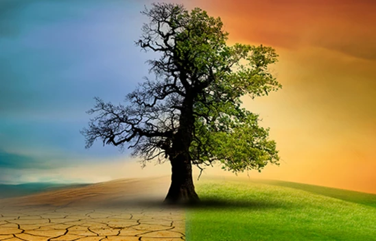 İklim değişiminde su ve gıda krizi kapıda değil, içeri girdi uyarısı