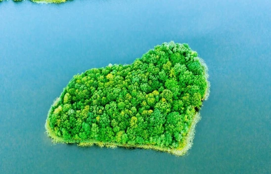 ING'nin iklim hedefleri, doğrulandı