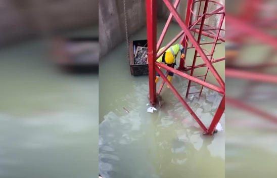 İnşaat alanındaki su dolu çukura düşen tilkiyi işçiler kurtardı