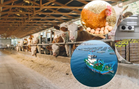 IPARD III Programı 10. çağrı ilanının toplam destek bütçesi 50 milyon avro olarak açıklandı