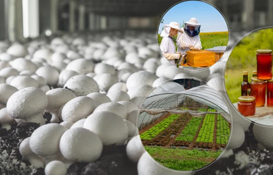 IPARD III programı için 100 projeye 461 milyon lira hibe ödenecek