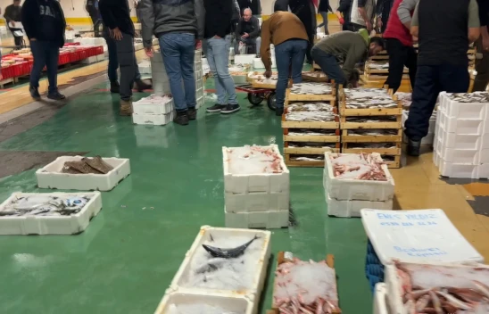 İstanbullu balıkçılar bir günlük hasılatını Gazze'ye bağışladı