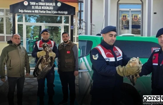 Jandarmanın bulduğu kuşlar, koruma altına alındı