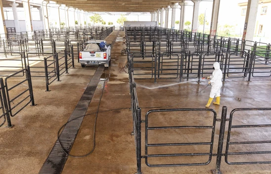 Kahramanmaraş Canlı Hayvan Pazarı'nda üst düzey titizlik