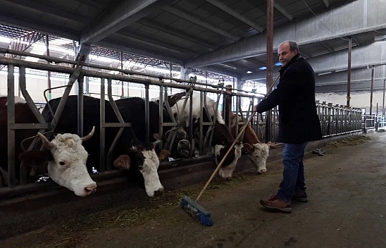 Kahramanmaraş depremlerinde hayvanları telef olan besici, devlet desteğiyle durdu