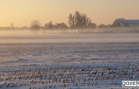 Kahramanmaraş için zirai don uyarısı