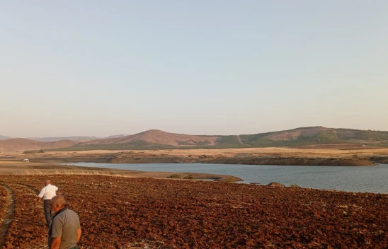 Kahramanmaraş'ın Türkoğlu ilçesinde trajik olay: Gölete giren baba ve kızı kayboldu