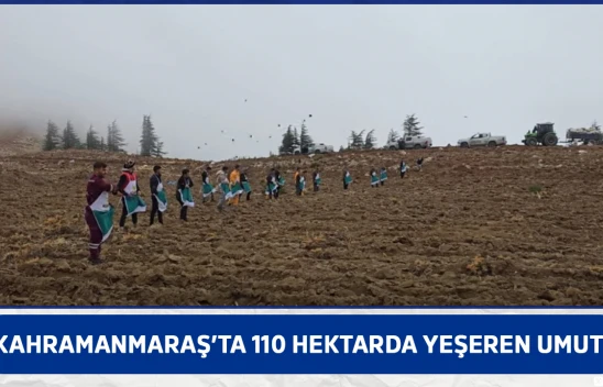 Kahramanmaraş'ta 110 hektarda yeşeren umut