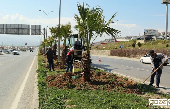Kahramanmaraş'ta 2 bin ağaç toprakla buluşturuldu