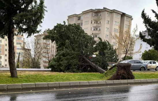 Kahramanmaraş'ta 3 ilçe için fırtına alarmı berildi
