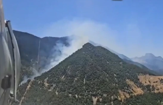 Kahramanmaraş'ta bir orman yangını daha başladı