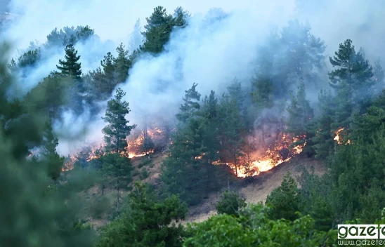 Kahramanmaraş'ta çıkan orman yangını kontrol altına alındı