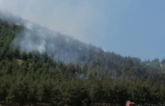 Kahramanmaraş'ta çıkan orman yangınına müdahale ediliyor