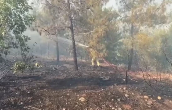 Kahramanmaraş'ta çıkan orman yangını söndürüldü