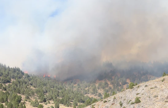 Kahramanmaraş'ta çıkan orman yangınına müdahale sürüyor