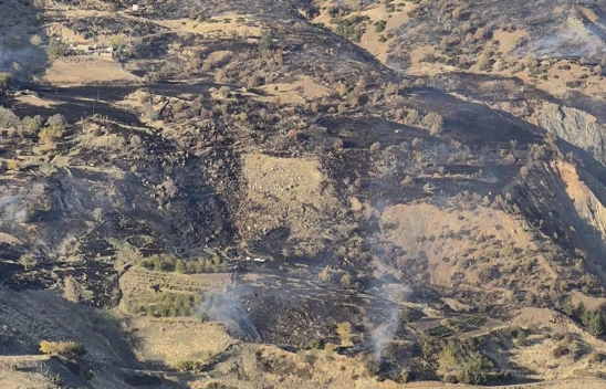 Kahramanmaraş'ta çıkan orman yangın!