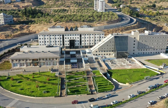 Kahramanmaraş'ta İl Başkan Yardımcısı, Başkan Yardımcısını şekerlikle yaraladı