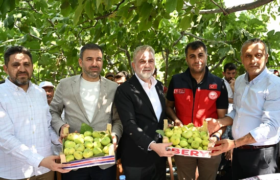 Kahramanmaraş'ta incir üreticisine tam destek!
