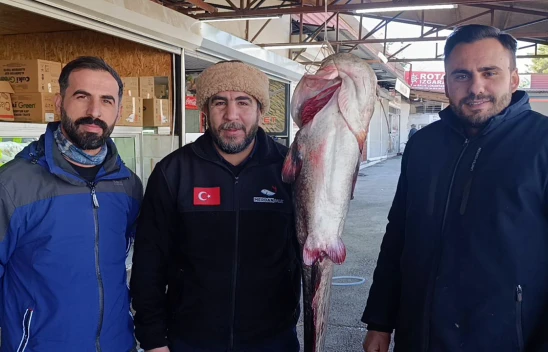 Kahramanmaraş'ta insan büyüklüğünde balık yakalandı