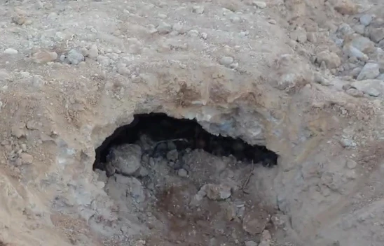 Kahramanmaraş'ta insan kafatası ve kemik parçaları bulundu