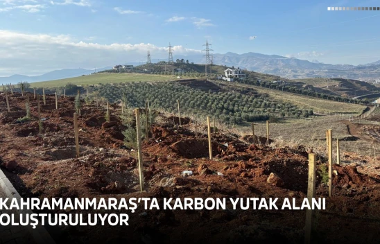 Kahramanmaraş'ta karbon yutak alanı oluşturuluyor