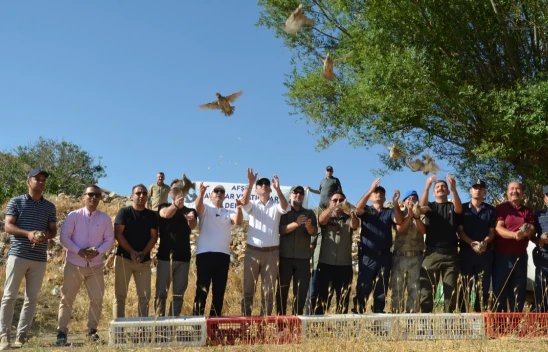 Kahramanmaraş'ta kene avcısı kınalı kekliklere yakın takip