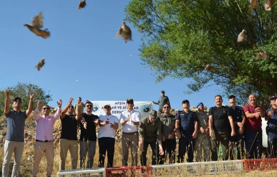 Kahramanmaraş'ta kene ile mücadelede kınalı keklikler doğaya bırakıldı