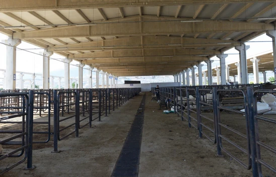 Kahramanmaraş'ta kurban satış yerleri kiralama işlemi 15 Mayıs'ta başlıyor