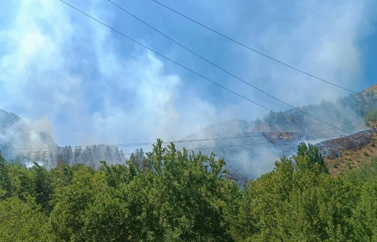 Kahramanmaraş'ta orman yangını