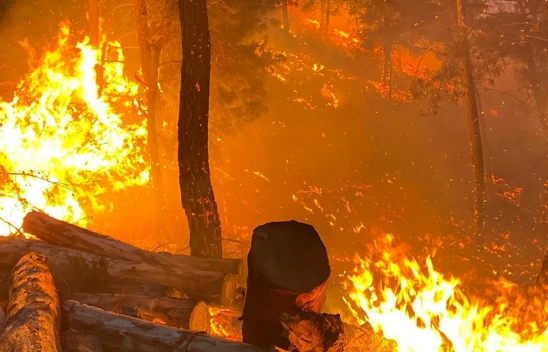Kahramanmaraş'ta orman yangını! Havadan ve karadan müdahale başladı