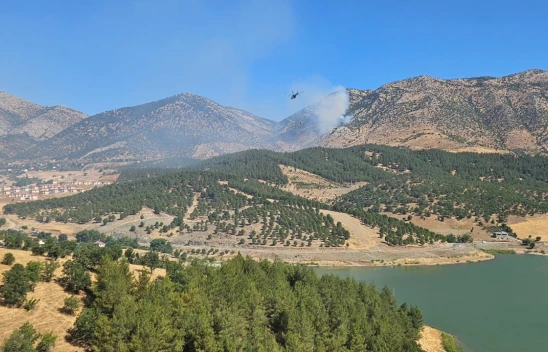 Kahramanmaraş'ta orman yangını başladı