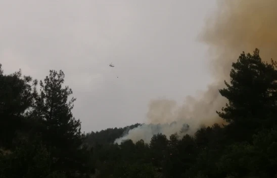Kahramanmaraş'ta orman yangını başladı