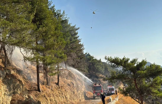 Kahramanmaraş'ta orman yangınına havadan ve karadan müdahale