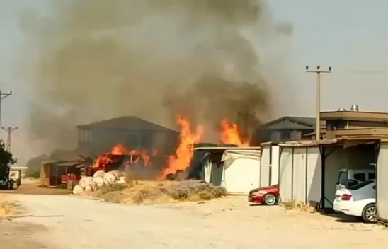 Kahramanmaraş'ta samanlık yangını paniğe neden oldu