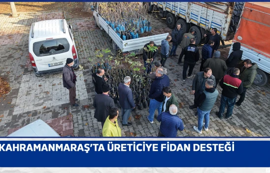 Kahramanmaraş'ta üreticiye fidan desteği