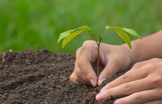Kahramanmaraş'ta yeşil seferberlik