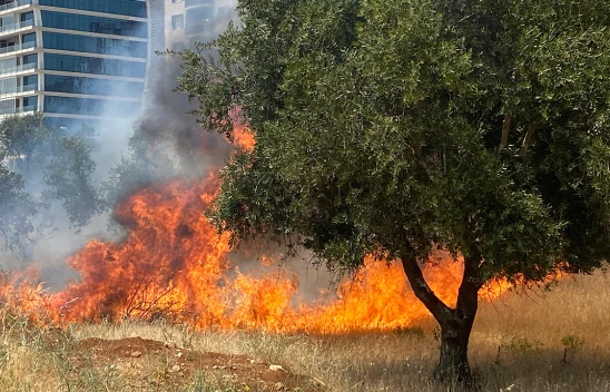 Kahramanmaraş'ta zeytin bahçesinde çıkan yangın söndürüldü