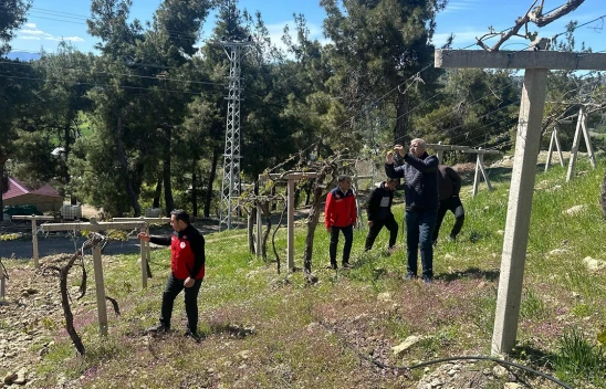 Kahramanmaraş'ta zirai don felaketi
