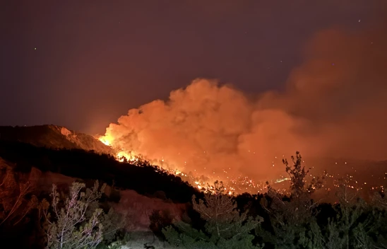 Kahramanmaraş'taki orman yangınında 18 ev boşaltıldı, 3 ev yandı