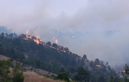 Kahramanmaraş'taki orman yangınına müdahale ikinci gününde sürüyor