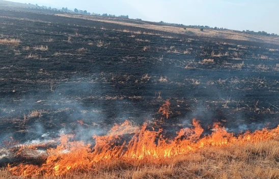 Kahramanmaraşlı çiftçilerin dikkatine! Anız yangınlarına ceza