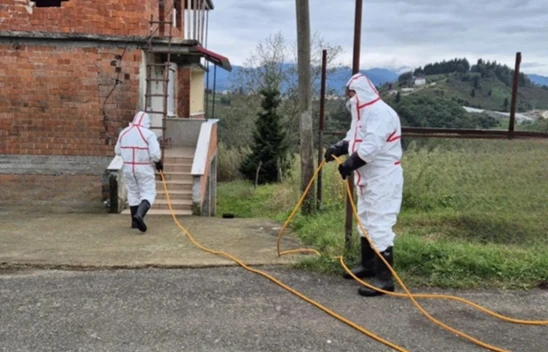 Kahverengi kokarcaya karşı seferberlik, 1 milyondan fazla hane ilaçlandı