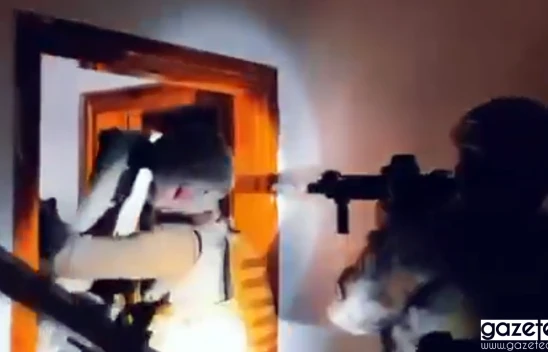 Kaplanlar suç örgütü, eş zamanlı operasyonla çökertildi