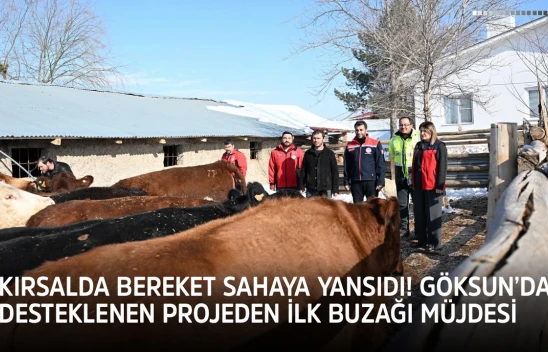 Kırsalda bereket sahaya yansıdı! Göksun'da desteklenen projeden ilk buzağı müjdesi